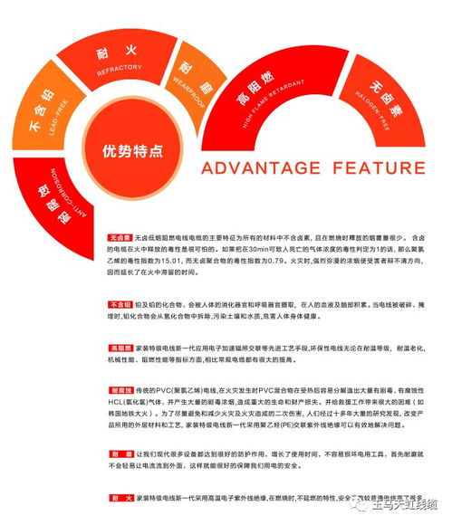 天虹線纜 助力傳統村落煥新顏，守護黔溪村電氣安全